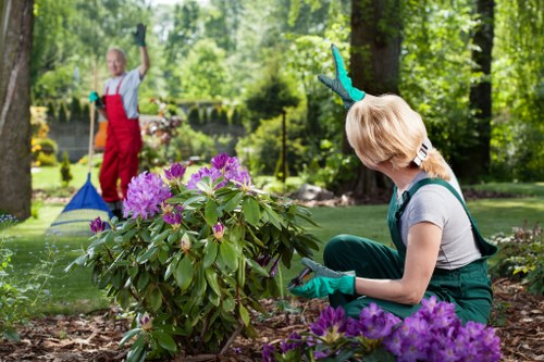 Eco-friendly garden clearance practices in Alperton