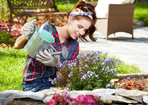 Regular hedge maintenance beside a garden lawn