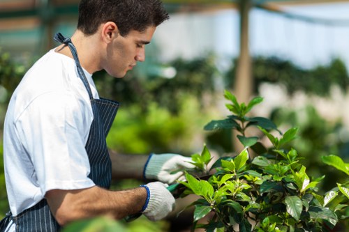 Operator using a hedge trimmer with protective equipment