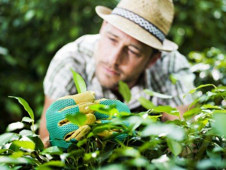 Seasonal garden care with blooming flowers in spring