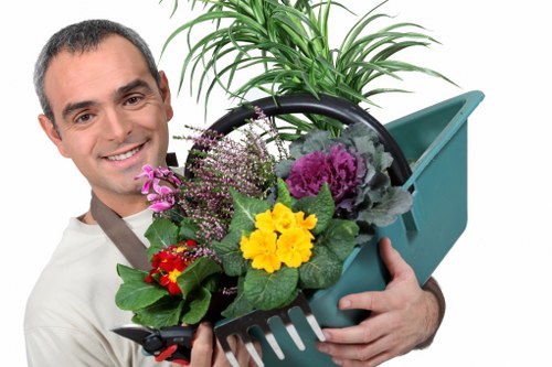 Eco-friendly lawn mowing practices in an Alperton backyard