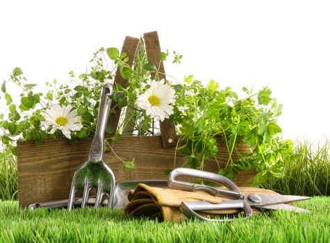 High-quality lawn mower equipment for Alperton gardens